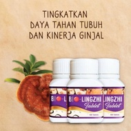 Bio Lingzhi Herbal Medicine For Kidney And Heart Original% Original