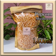 ถูกที่สุด เมล็ดข้าวโพดดิบ เม็ดข้าวโพด Popcorn ป๊อปคอร์น ข้าวโพดคั่ว 1000 กรัม(1kg.) Mushroom มัชรูม สะอาด คุณาพดี