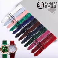 [Free Installation Tool] Daso Suitable for Chopin Chopin HappySpo