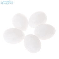 cc 5Pcs Parrots Plastic Eggs White Solid Hatching Eggs for Household Breeding