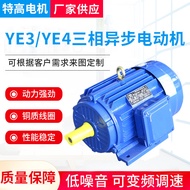 YE3/YE4Series Three-Phase Asynchronous Motor YE3-100L2-4Vertical Horizontal Three-phase Asynchronous