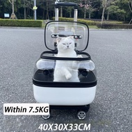 Double Layer Outdoor Cat Trolley Bag Wheels Carrier Transparent Cats Strollers 2 Cats Cheap Breathab