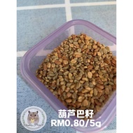 【现货】葫芦巴籽 仓鼠预防糖尿 仓鼠小零食 Fenugreek Seeds Hamsters Diabetes Prevention Snack Hamsters Snacks