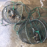 1pcs Foldable Cast Dip Crab Cage Trap Net Bubu Ketam Bento Ketam Pukat 蟹笼 diguna untuk tangkap ketam