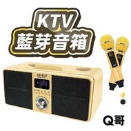 TJKTV藍牙音箱 行動KTV SD309  雙人無線 KTV 卡拉OK 音響喇叭 藍牙喇叭 音響 藍牙音響 SW037