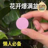 【樂樂屋】德沃多植物多彩泡騰片通用型營養緩釋肥骨粉土壤活化劑養花肥料