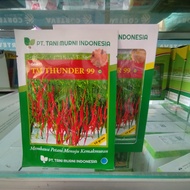 Benih Cabe Keriting TM THUNDER 99 10gr