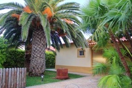 3 bedrooms house at Porto Santo 500 m away from the beach with enclosed garden and wifi