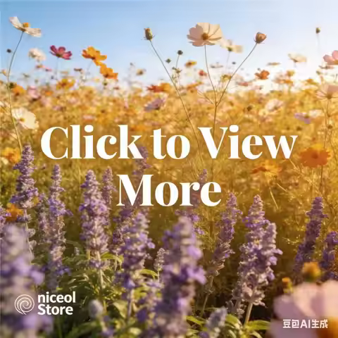 Bluetooth-compatible Internet FM Radio Rechargeable Digital Radio with 1.47inch Color Display Extern