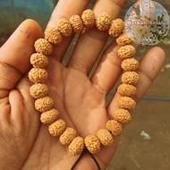 Rudraksha Jenitri Mukhi 8 Lines 8 Rides Blessings_Always