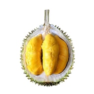 Durian Musang King Bulat Utuh Fresh