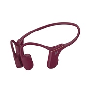 AVIOT WB-P1 Wireless Bone Conduction Earphones - Bluetooth 5.2, IP67 Waterproof, 12-Hour Playback, T