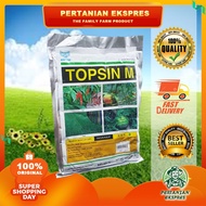500G Topsin M Thiophanate-methyl 70% Racun Kulat Fungicide
