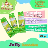 JOLLY DANDELION 50gr/SNACK Rabbit Guinea Pig Chincilla JP95