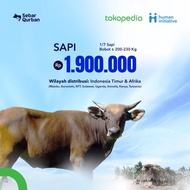 Qurban Sapi 1/7 Standar 200-230kg