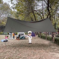 現貨⛺️ 帳篷天幕 3x3m camping shelter 牛津布 加寬防潮墊 野餐墊 天幕 戶外 戶外地墊 帳篷 天幕 擋雨篷 防風 防雨 防曬 夏天 防曬用品 遮 紫外線 防uv 戶外用品 露營