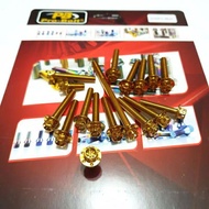 CVT PROBOLT BOLT SCOOPYBEAT THAILAND FLOWER PROBOLT BOLT SET 17PCS BOLT