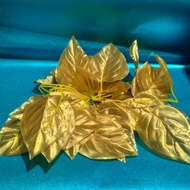 Daun rambat gold 2meter daun emas per biji