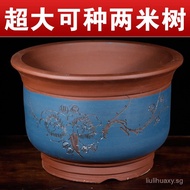 Flower Pot Flower Pot Balcony Flower Pot Money Tree Extra Large Special Vegetable Pot Ceramic Purple