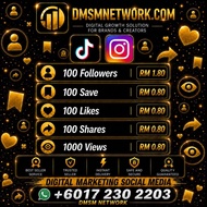 DMSM NETWORK TT InstaG FB WORLDWIDE LIKES VIEWS MEMBERS