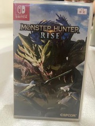 Switch Monster Hunter/Rabbids Party/動森