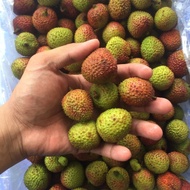 BUAH LECI SEGAR 1KG MANIS BERKUALITAS