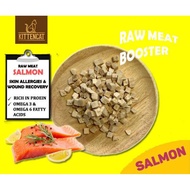 kittencat Raw Fresh Nutrition