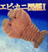 🈲 絕版珍藏 🈲 Takara 立体カプセル百科事典 原色甲殻類エビ・カニ図鑑 原色甲殼類圖鑑 改訂增補版 (Ibacuc ciliatus 團扇海老 毛緣扇蝦 琵琶蝦) 2009年