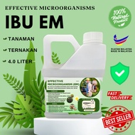 IBU EM  4L Em4 Effective Microorganism EM4 Pertanian Em4 Penternakan PATI EM PERLU DIBANCUH EM BAJA 