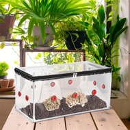 SLG Planting Kit Fold Long Life Easy To Use High Quality Mushroom Grow Set