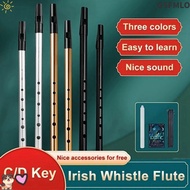 GSFMLO Aluminum Tin Whistle, 6 Holes Rich Tone Irish Whistle Flute, Traditional C/D Key Easy-to-lear