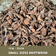 XXS/SS 𝟳𝗰𝗺 → 𝟮𝟬𝗰𝗺 Nano size driftwood for aquarium/aquascape/paludarium/airplant/terrarium (Kayu utk