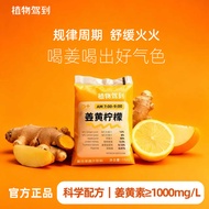 Plant Drive Turmeric Lemon Drink Ginger Concentrated Juice Turmeric Spicy Spicy Bag Packaging Ready-