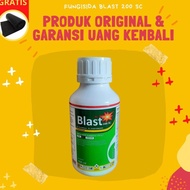 Termurah !! Obat Fungisida Sistemik Tanaman Padi untuk Penyakit Bercak