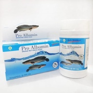 Pro albumin ekstrak ikan gabus