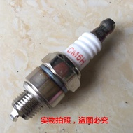 Gasoline Engine/4 Impulse Engine/Four-Stroke Engine Modified Bicycle Accessories Spark Plug CM5H/CMR