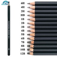 OPENMALL 14pcs/set Professional Sketch Drawing Pencil Set HB 2B 6H 4H 2H 3B 4B 5B 6B 10B 12B 1B Pain