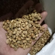 READY! sujakopi greenbean 1kg Robusta Dampit biji kopi mentah