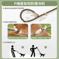 Akita Dog Dog Rope Explosion-Proof Punch P Chain Dog Walking Leash Break-Proof Dog Chain Medium Larg