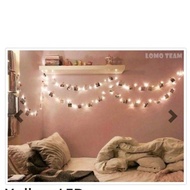 Polaroid Maniac 4ever