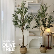 [พร้อมส่ง] Jnihouse : ต้นมะกอกปลอม สูง 1.2 1.5 1.8 เมตร (Artificial Olive Tree) ต้นไม้ปลอม