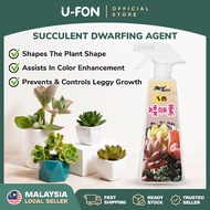 Succulent Dwarfing Agent Succulent Organic Fertilizer Baja Cactus Baja Sukulen 多肉矮胖素