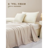 Jili 100 Mulberry Silkworm Quilt Single Double Quilt Air Conditioning Quilt Washable 60 Count Cotton