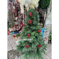 [NEW] Christmas tree 1M5 2M 2M4 3M GOLD TIP WITH RED FRUITS Christmas Decoration Company Hotel