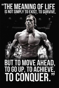 Hollyser Arnold Schwarzenegger Gym Wall Poster Motivational Quote Poster Fitness Print Gym Bodybuild