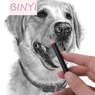BINYI Sketch Pencil Set, Smooth Writing HB 2H 4H B 2B 3B Graphite Pencil, Journal 4B 5B 6B 7B 8B Det