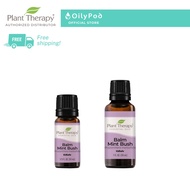 Plant Therapy Balm Mint Bush Essential Oil