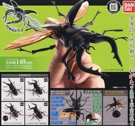 全新 生物大圖鑑 140mm 超巨大 秋形蟲 獨角仙 昆蟲 扭蛋 一套3款 鋸鍬形蟲 ( 黑色 ) 鋸鍬形蟲 ( 赤茶色 ) 長頸鹿鋸鍬形蟲 斑馬鋸鍬形蟲 Bandai Dango Mushi Kuw