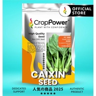 (500 GRAM) Biji Benih Sawi Bunga Great Asia FC988 大中华 CROP POWER F1 HYBRID Flowering Caixin Seeds 菜心