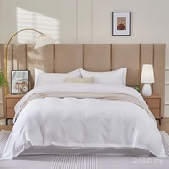 Tribute Cloth Four-Star Wholesale B & B Quilt Cover Encrypted Four-Piece Set Dedicated Bed Sheet Cha